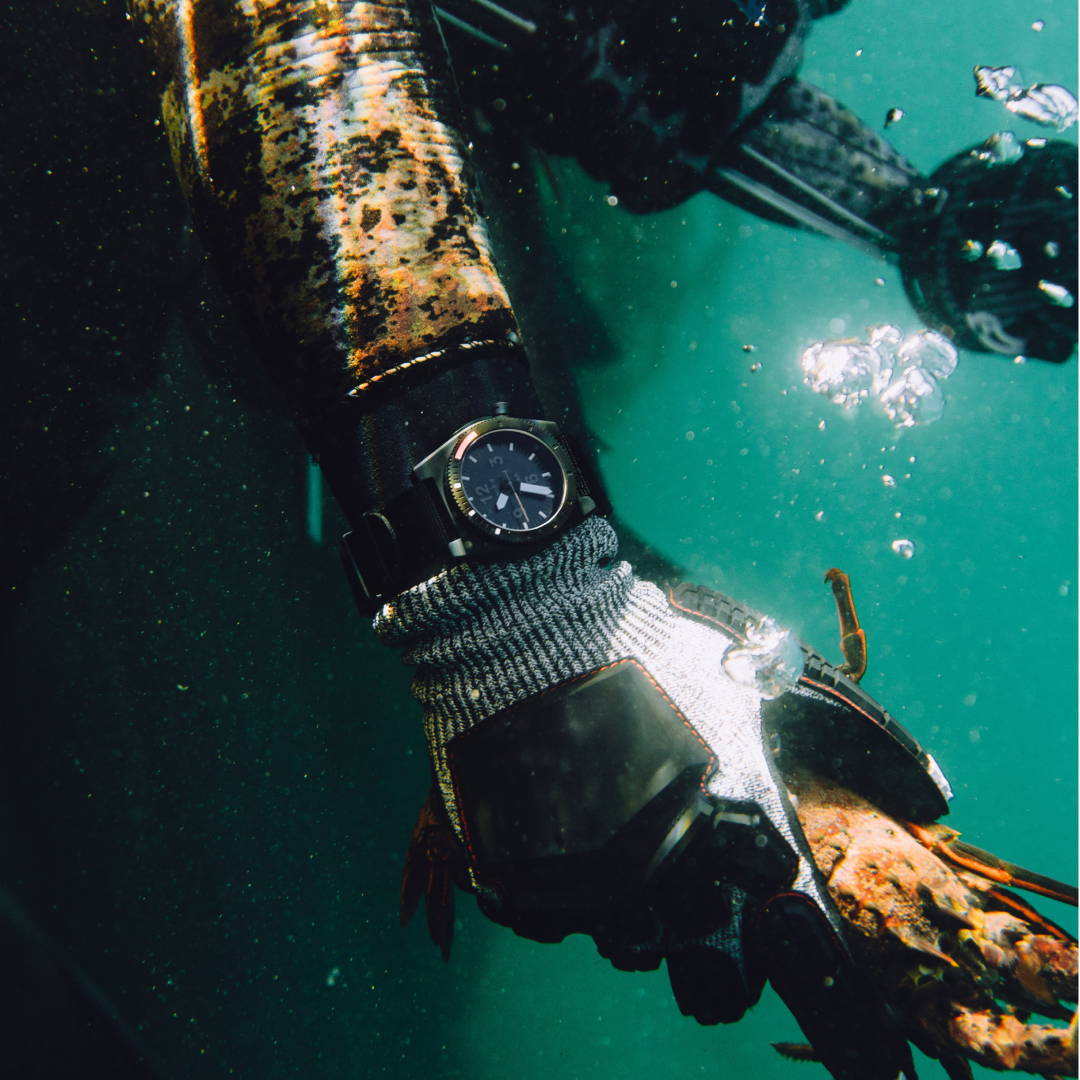 Diver 1T Solar – MINUS-8